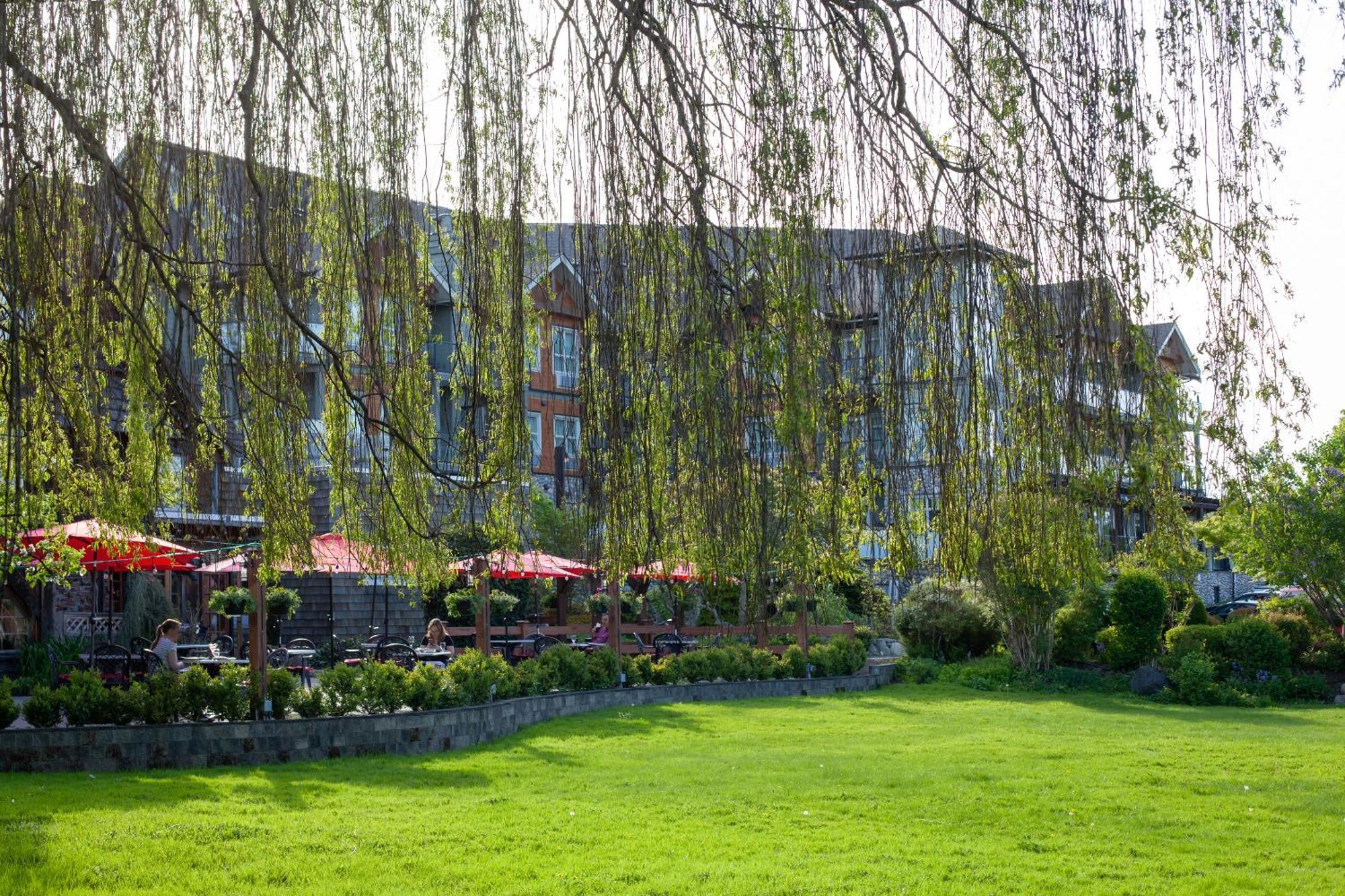 Old House Hotel Courtenay Exterior photo