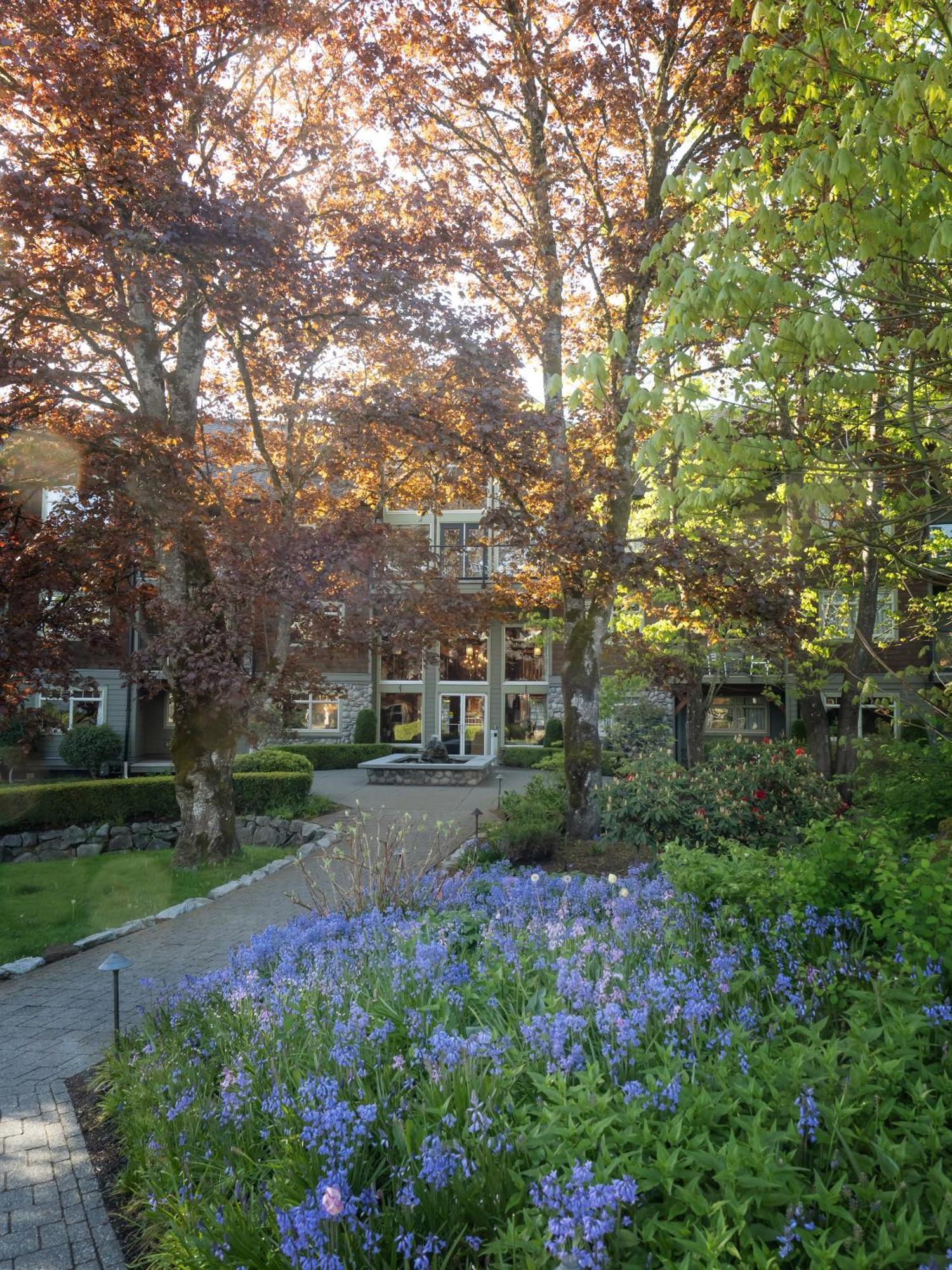 Old House Hotel Courtenay Exterior photo